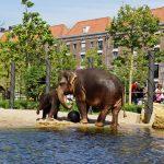 Artis zoo-Amsterdam center-sightseeing-hotel-Crowne Plaza