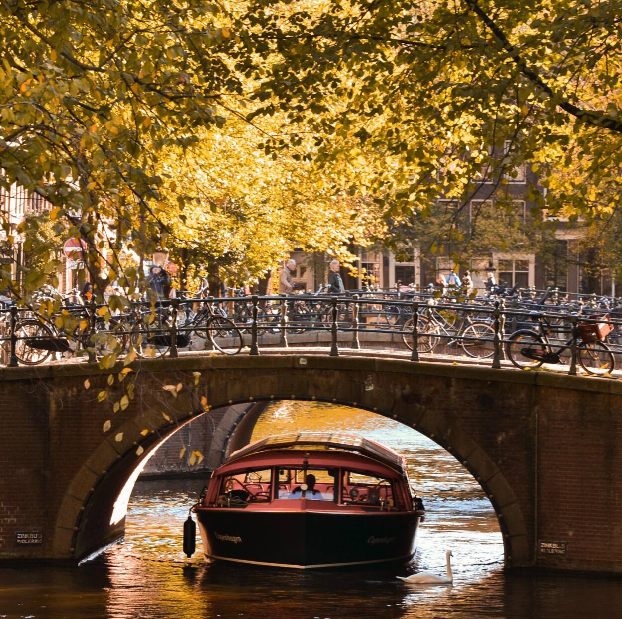 The festive season in Amsterdam