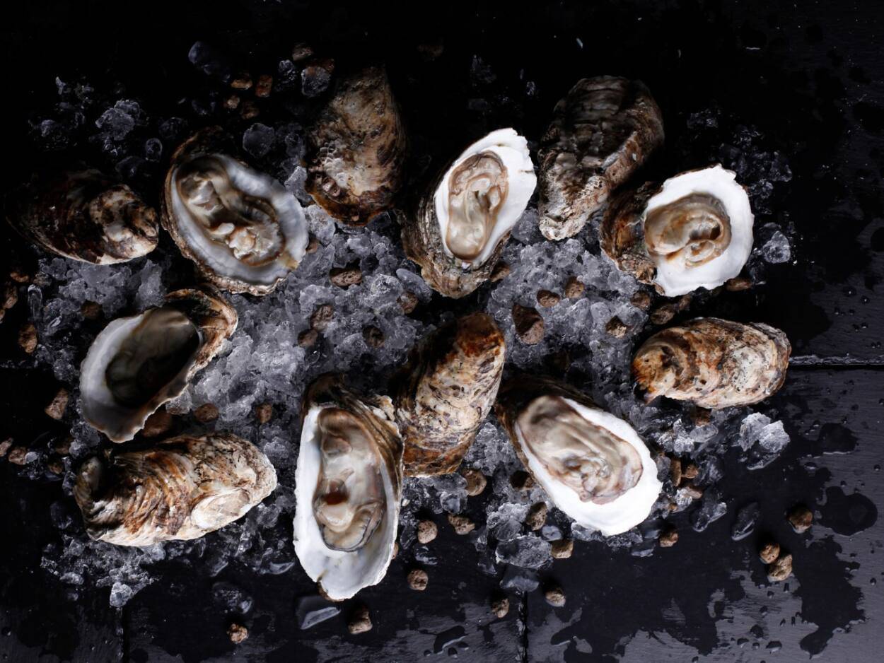 Oyster party at Manhattan Lounge bar Amsterdam