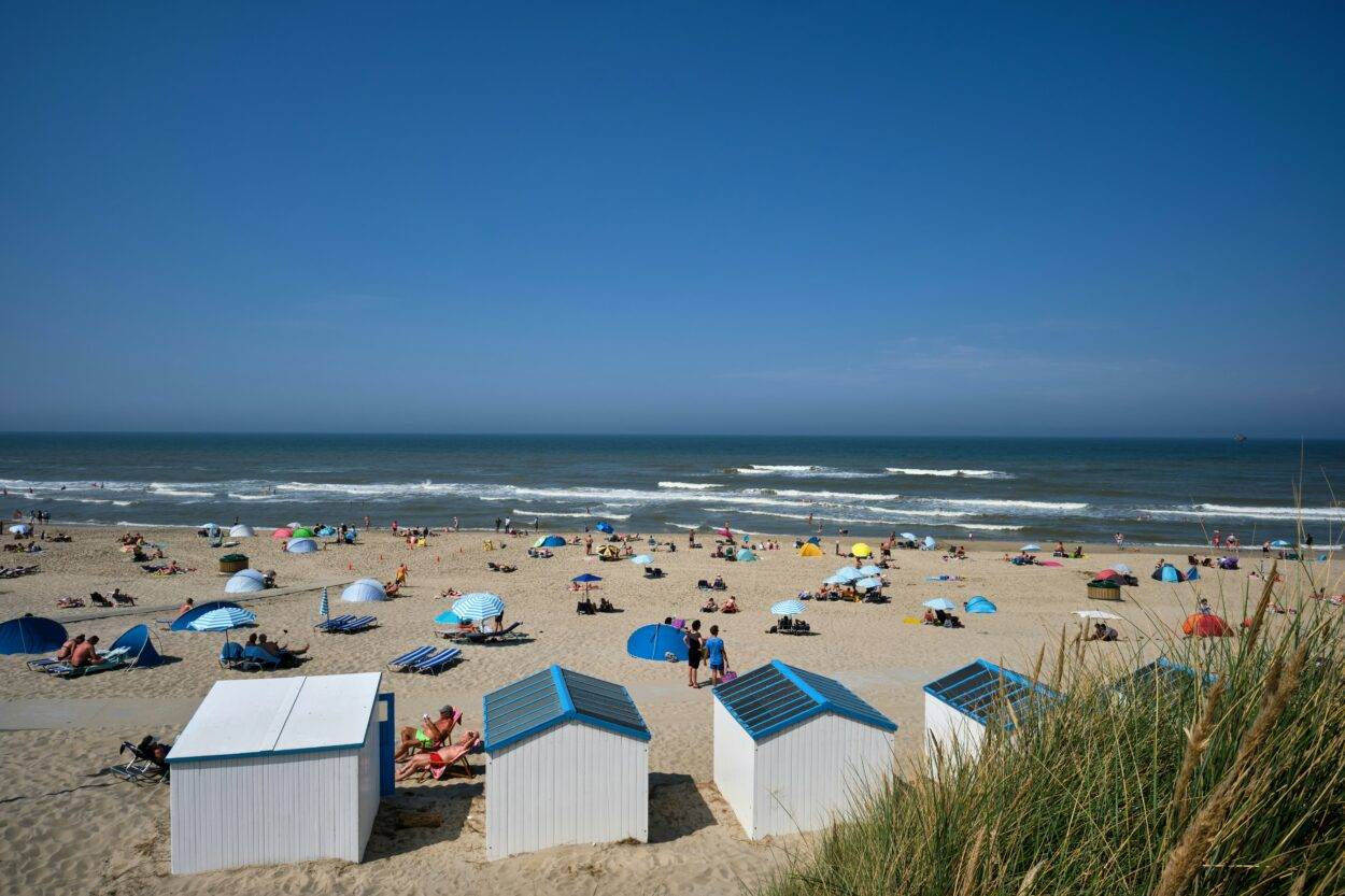 Seaside Escapes Near Amsterdam You Need to Experience This Summer