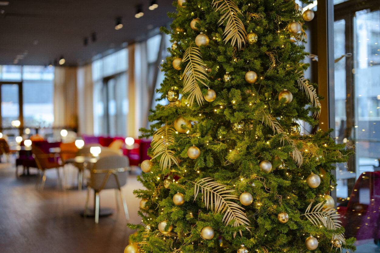 Wrap Up the Year Together: It's time to Celebrate!